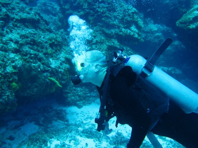 Eagte Ray Buceo